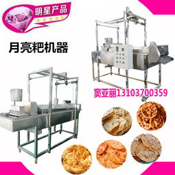 【cctv10專訪燈盞粑機器自動注漿自動成型油炸燈盞粑設(shè)備】- 